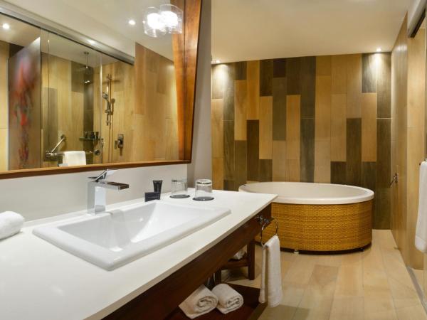 Hard Rock Hotel Guadalajara : photo 4 de la chambre hébergement de luxe lit king-size avec bain à remous