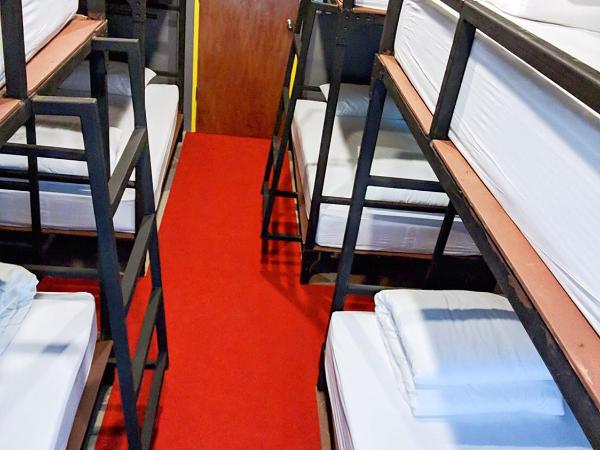 248 STREET HOSTEL : photo 7 de la chambre lit dans dortoir mixte de 8 lits