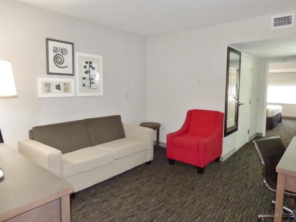Country Inn & Suites by Radisson, Tampa-Brandon, FL : photo 1 de la chambre suite 1 chambre lit king-size avec canapé-lit - non-fumeurs
