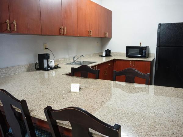Country Inn & Suites by Radisson, Tampa-Brandon, FL : photo 3 de la chambre suite lit king-size premium avec cuisine - non-fumeurs