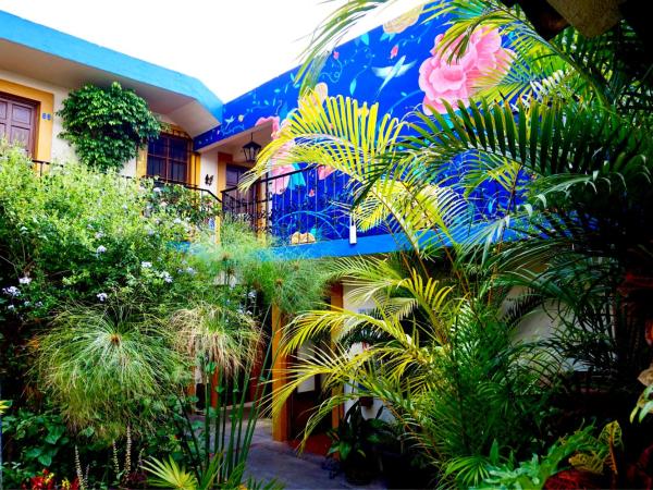 Hotel Las Golondrinas : photo 5 de la chambre chambre triple supérieure