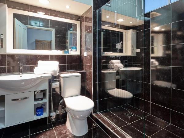 Quality Hotel Colonial Launceston : photo 3 de la chambre chambre affaires - non-fumeurs