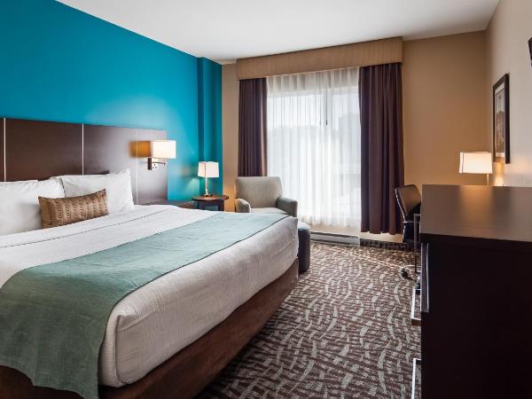 Best Western Plus Hotel Montreal : photo 4 de la chambre chambre lit king-size - non-fumeurs