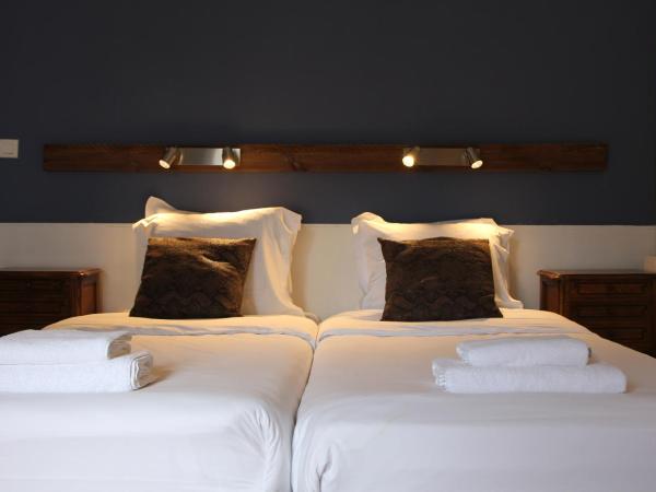 Hôtel Au Grand Duquesne : photo 1 de la chambre chambre lits jumeaux