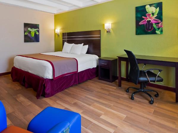 Best Western Orlando West : photo 4 de la chambre chambre lit king-size - non-fumeurs