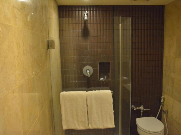 Garden Palace Hotel : photo 6 de la chambre chambre lit king-size supérieure