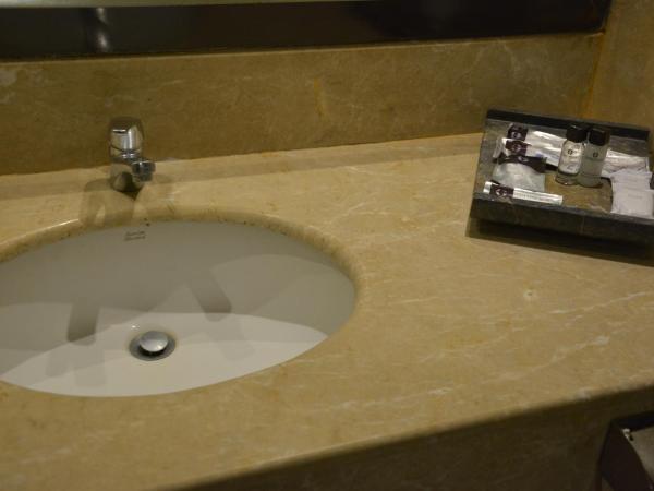 Garden Palace Hotel : photo 4 de la chambre chambre lit king-size supérieure