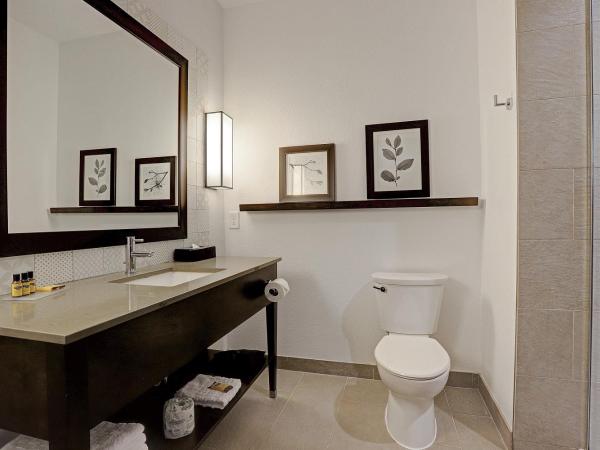 Country Inn & Suites by Radisson Houston Westchase-Westheimer : photo 4 de la chambre chambre lit king-size - non-fumeurs