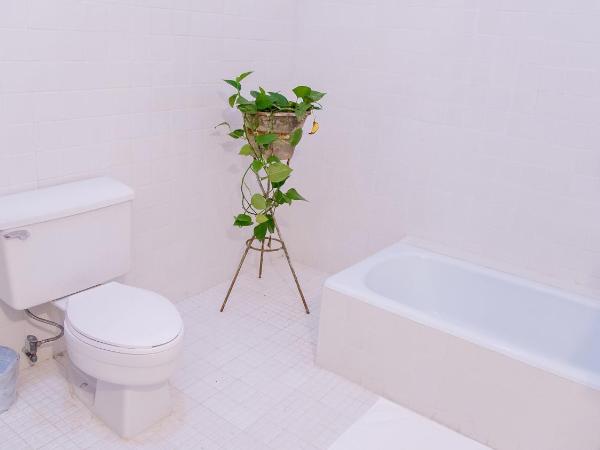 Agrado Guest House : photo 6 de la chambre suite master avec balcon