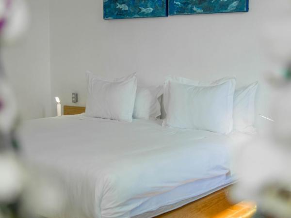 Agrado Guest House : photo 3 de la chambre suite master avec balcon