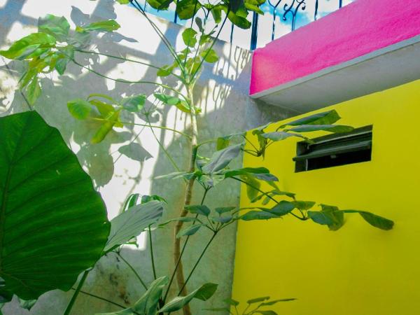 Agrado Guest House : photo 7 de la chambre loft avec terrasse privative