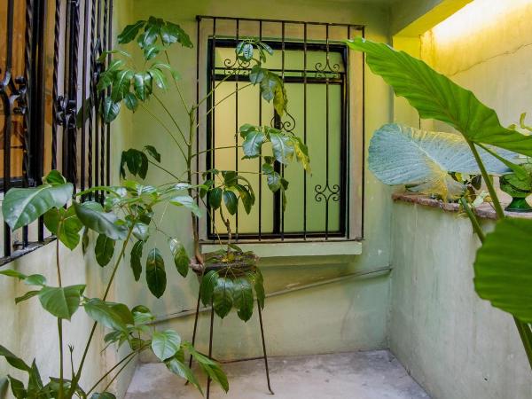 Agrado Guest House : photo 1 de la chambre suite master avec terrasse