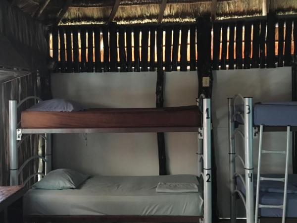 Hostal Cha Cha Cha : photo 2 de la chambre lit dans dortoir mixte de 10 lits