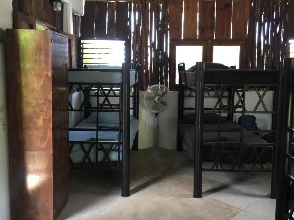 Hostal Cha Cha Cha : photo 3 de la chambre lit simple dans dortoir de 10 lits