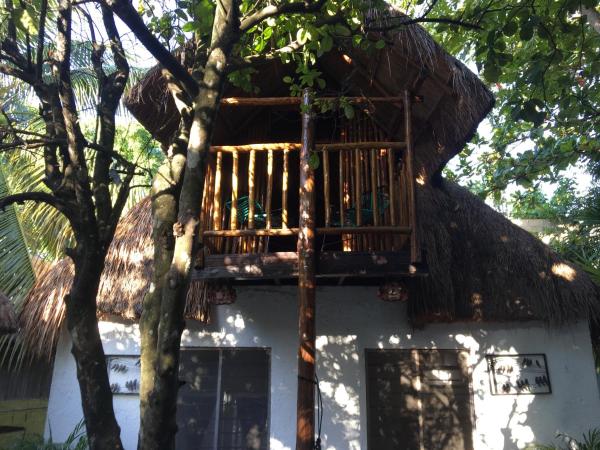 Hostal Cha Cha Cha : photo 3 de la chambre chambre double Économique