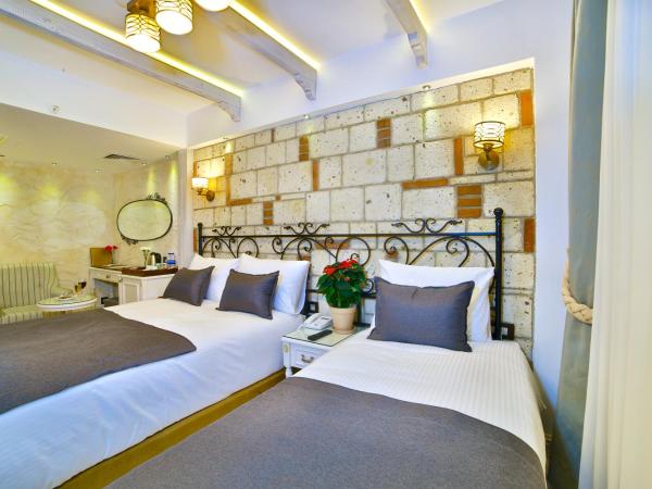 Yılsam Sultanahmet Hotel : photo 1 de la chambre chambre double Économique - sous-sol