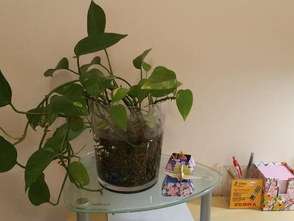 Helen's House / Close to Skytrain and Airport : photo 10 de la chambre chambre simple avec salle de bains privative