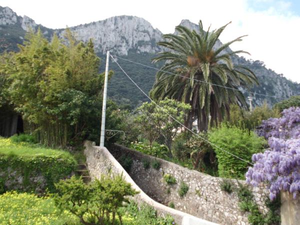 Capri Inn : photo 1 de la chambre chambre double – vue sur ville