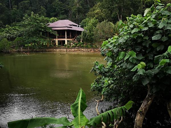 Yuyu Golden Beach : photo 3 de la chambre bungalow familial