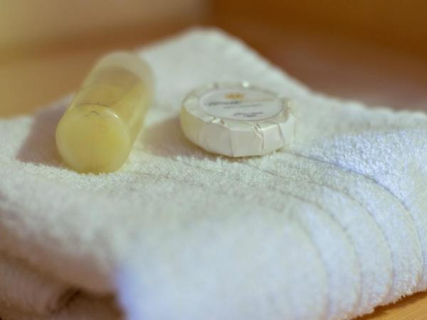 Terraza Coirones Hotel : photo 7 de la chambre chambre double – vue sur lac