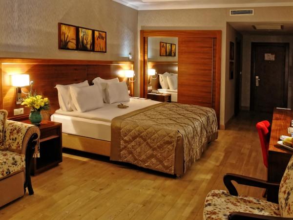 Atakosk Group Hotels : photo 7 de la chambre chambre double ou lits jumeaux standard
