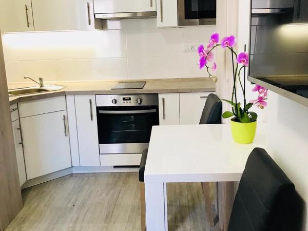 Panorama Apartments : photo 5 de la chambre studio