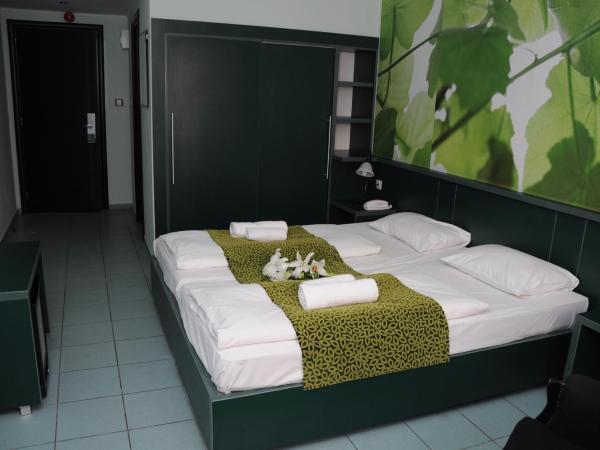 Green Hotel Budapest : photo 2 de la chambre chambre double standard