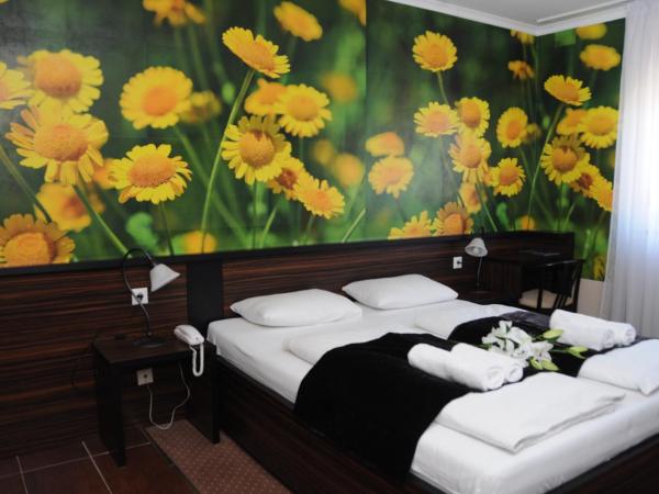 Green Hotel Budapest : photo 1 de la chambre chambre double standard