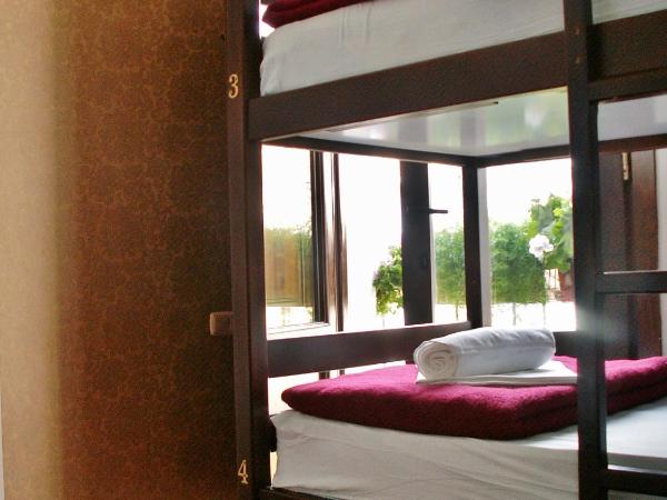 Oasis Backpackers' Hostel Granada : photo 10 de la chambre lit dans dortoir pour femmes de 6 lits