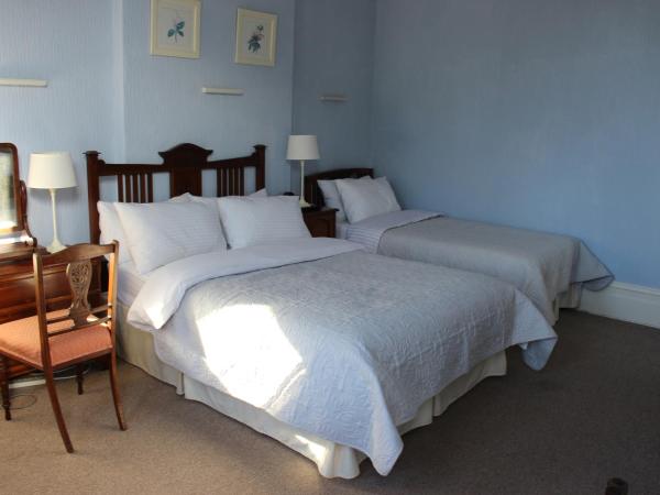 The Elms Guest House Bristol : photo 5 de la chambre chambre lits jumeaux spacieuse