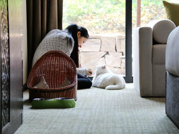 Millennium Resort Hangzhou : photo 2 de la chambre chambre lit king-size côté cour (animaux domestiques admis) - minibar gratuit par séjour