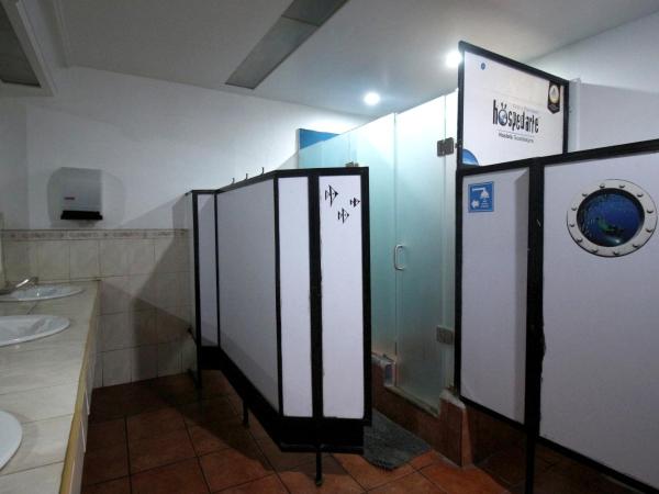 Hostel Hospedarte Centro : photo 10 de la chambre lit dans dortoir pour femmes de 8 lits