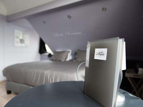 B&B Alegría : photo 7 de la chambre chambre double deluxe avec douche