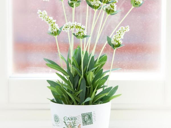 Hotel Emma : photo 7 de la chambre chambre double ou lits jumeaux