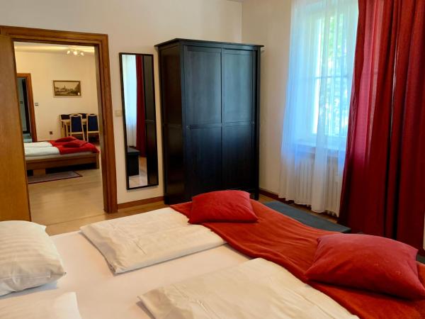 Altstadthotel Hayk am Rhein : photo 8 de la chambre economy apartment - 3 rooms no rhine river view