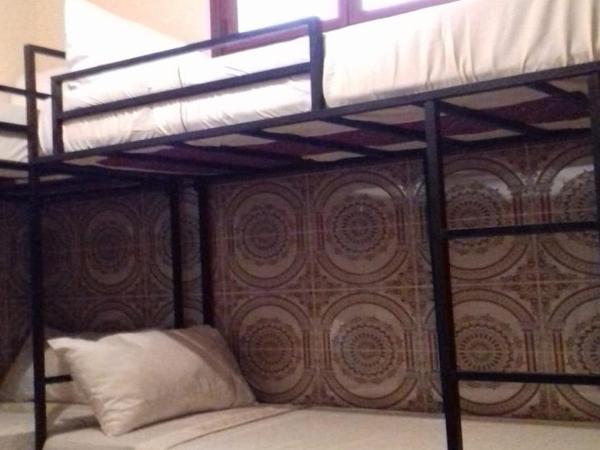 Hostel Dream belko : photo 1 de la chambre lit superposé dans dortoir pour femmes 