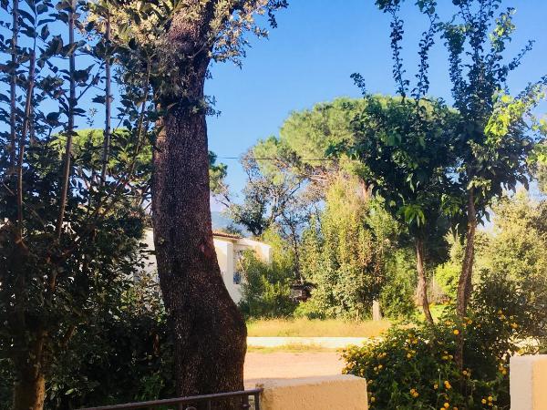 Bungalows Filippi : photo 7 de la chambre appartement - vue sur jardin
