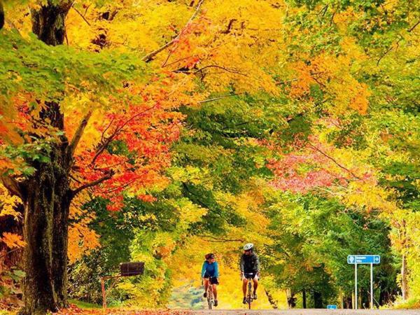 The Sunshine House-Free Parking : photo 9 de la chambre two-bedroom for families with private bathroom