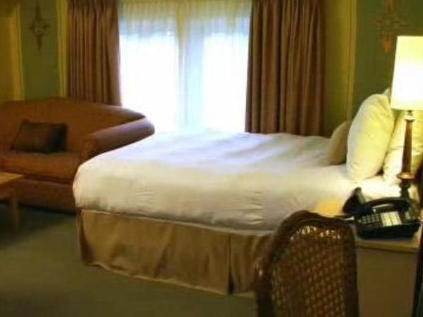 Victoria's Mansion Guest House : photo 6 de la chambre studio