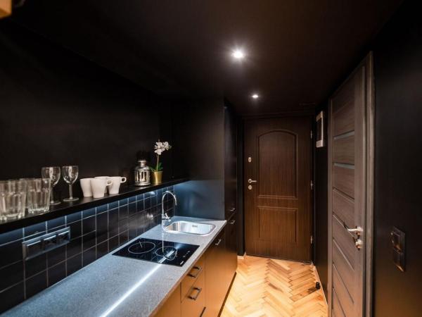 DIETLA 99 APARTMENTS - IDEAL LOCATION - in the heart of Krakow : photo 5 de la chambre appartement en duplex