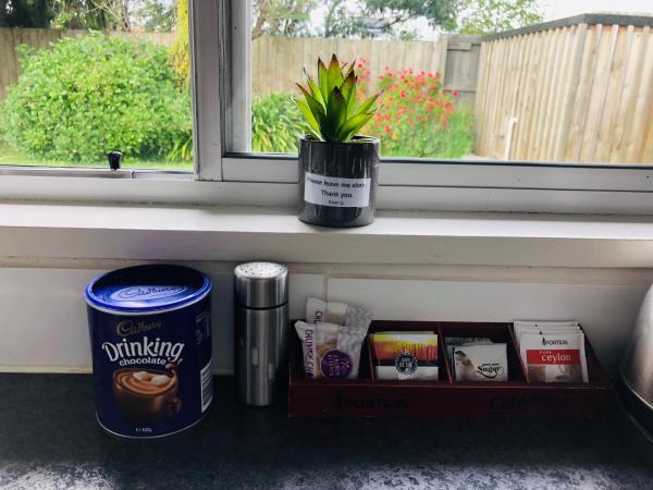 Red Rock Thermal Motel - Mineral Pool : photo 10 de la chambre cottage