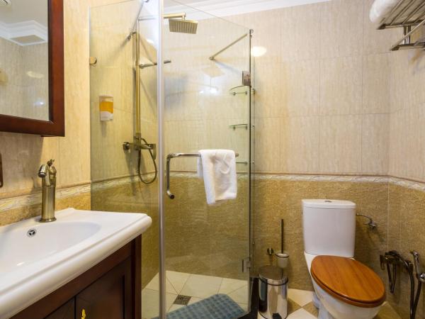 Zámek Lužec Spa & Wellness Resort : photo 7 de la chambre chambre lits jumeaux standard