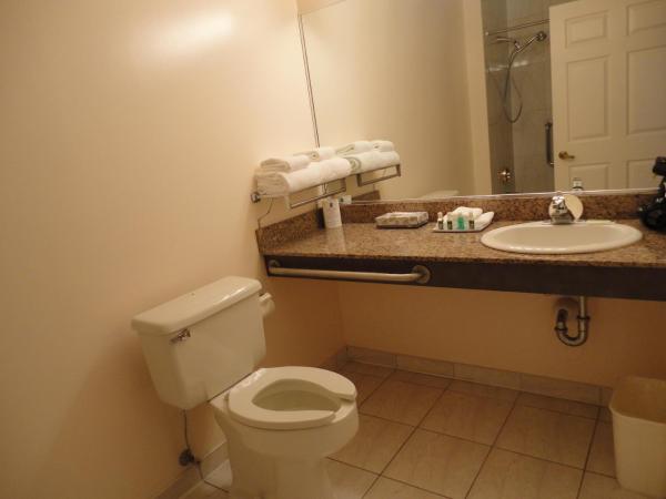 Rosedale on Robson Suite Hotel : photo 7 de la chambre chambre attribuée à l'arrivée