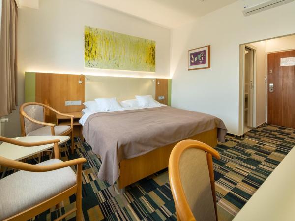 Hotel Continental : photo 2 de la chambre chambre double standard