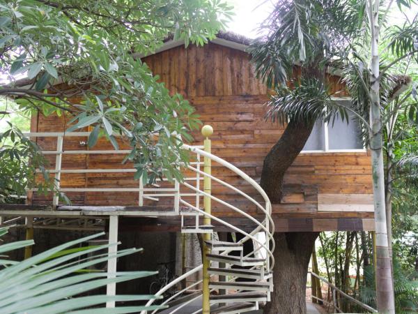 Mrugavani Resort & Spa : photo 5 de la chambre cabane dans les arbres