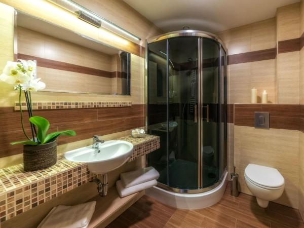 Hotel Zakopane Wellness & SPA ex Korona Tatr : photo 5 de la chambre chambre double standard