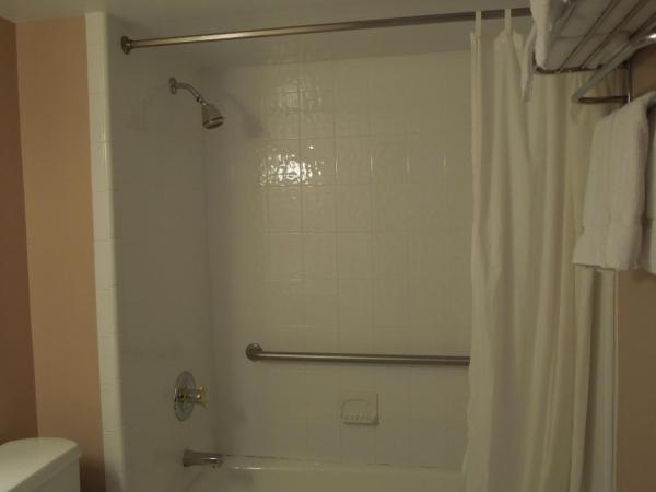 Alamar Resort Inn : photo 9 de la chambre chambre avec 2 grands lits queen-size