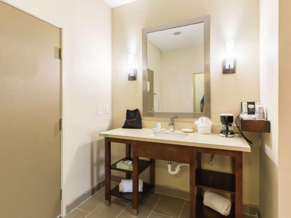 Econo Lodge Inn & Suites East Houston I-10 : photo 3 de la chambre chambre lit king-size pour personnes à mobilité réduite - non-fumeurs