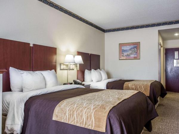 Comfort Inn & Suites FtJackson Maingate : photo 3 de la chambre chambre 2 lits queen-size - non-fumeurs