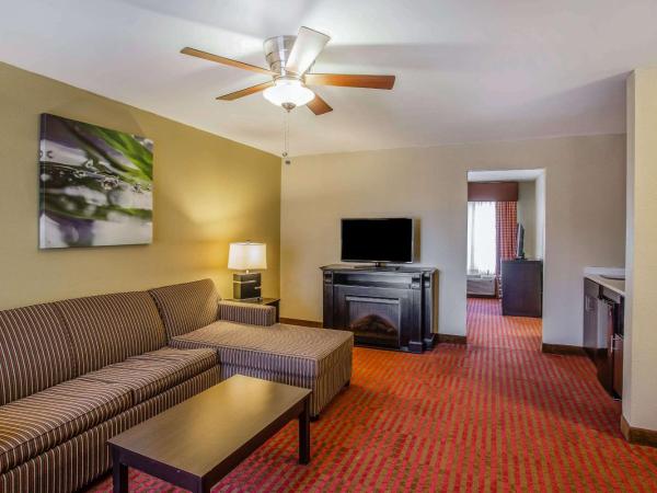 Quality Suites Nashville Airport : photo 3 de la chambre one room suite with sofa bed - non smoking/interior corridor